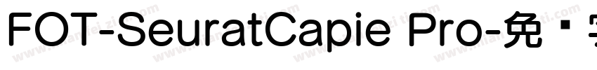 FOT-SeuratCapie Pro字体转换